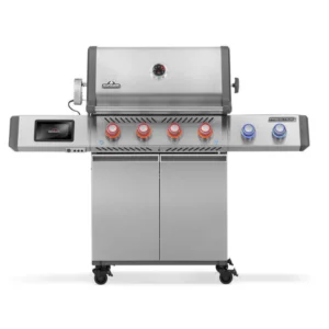 napoleon prestige pro 500 - Fireplace Gallery