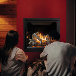 Fireplace Xtrordinair - ProBuilder 36 Clean Face Basic - MV
