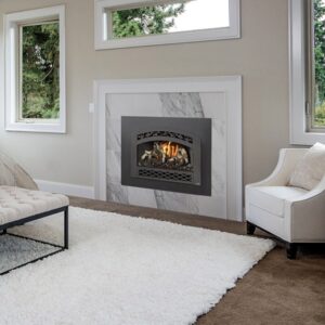 Fireplace Xtrordinair - 32 DVS Deluxe Ember-Glo Gas Insert