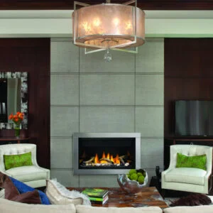 Napoleon - Ascent Linear Series Gas Fireplace