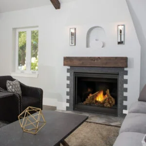 Napoleon - Ascent 42 Gas Fireplace