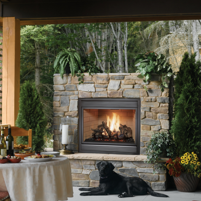 Fireplace Xtrordinair - 864 TV 40K Deluxe Gas Fireplace - Image 3