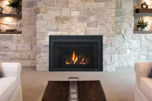 Gas fireplace insert heat n glo 2026
