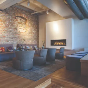Napoleon - Luxuria Series 50 Linear Gas Fireplace