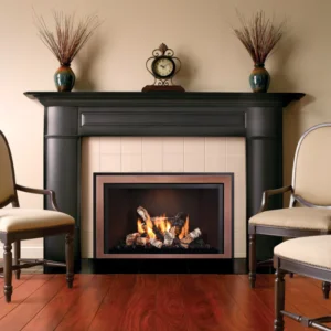 Mendota- Decor Gas Fireplace Inserts