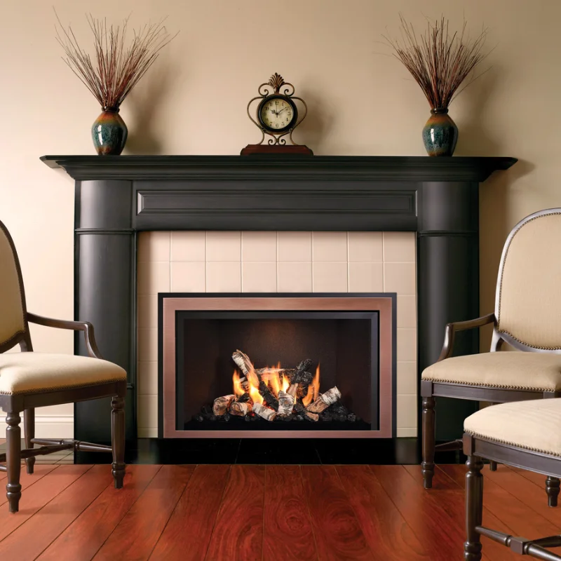 Mendota- Timberline Gas Fireplace Inserts - Image 2