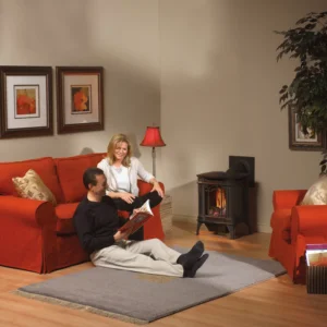 Napoleon-Arlington-Gas-Stove-image.png - Fireplace Gallery