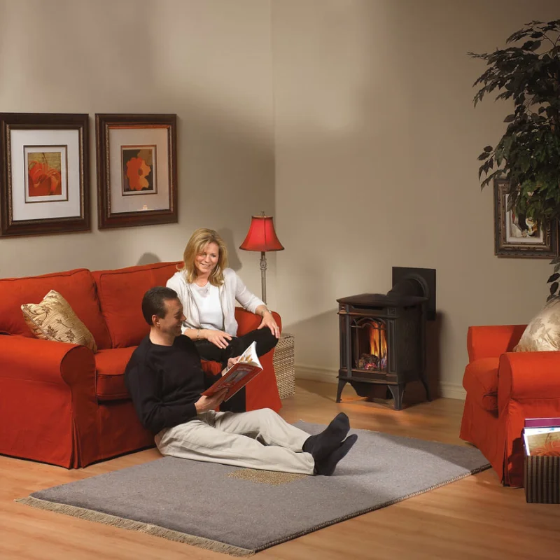 Napoleon-Arlington-Gas-Stove-image.png - Fireplace Gallery