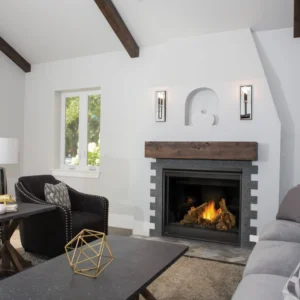 Napoleon - Ascent Series Gas Fireplace