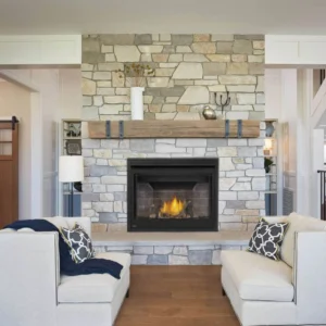 Napoleon - Ascent X Series Gas Fireplace