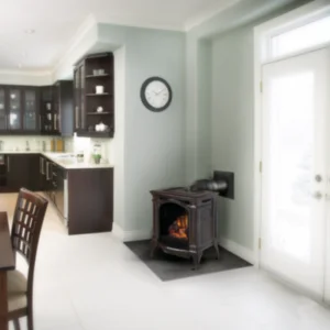 Napoleon - Bayfield Gas Stove