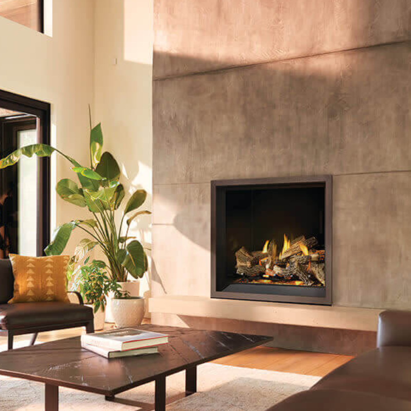 Napoleon-Elevation-X-Series-Gas-Fireplace-1.png - Fireplace Gallery