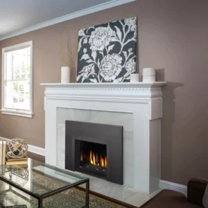 Napoleon - Oakville 3 Glass Gas Insert