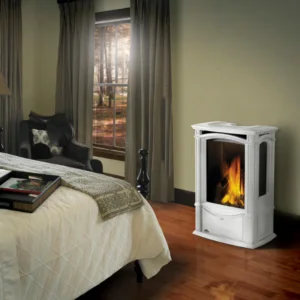Napoleon-castlemore-Gas-Stove-image.png - Fireplace Gallery