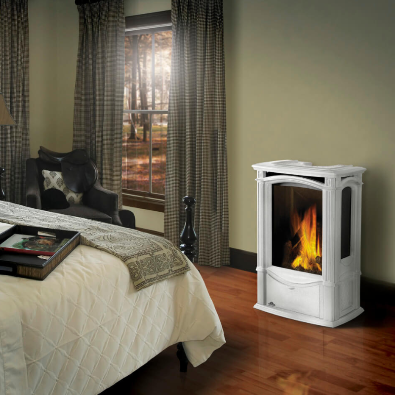 Napoleon-castlemore-Gas-Stove-image.png - Fireplace Gallery
