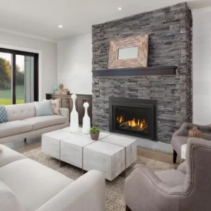 Majestic - Ruby Series Gas Insert