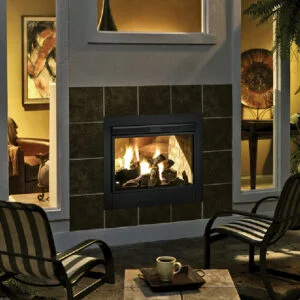 Heatilator - Twilight Outdoor/Indoor Gas Fireplace