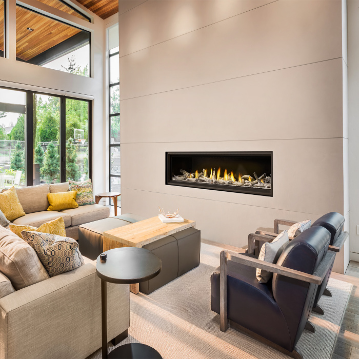 Vector-LV74-lifestyle-livingroom-1.jpg - Fireplace Gallery