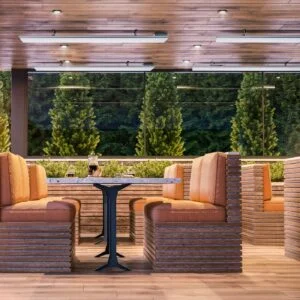 Dimplex - DLW Series Outdoor/Indoor Radiant Heater