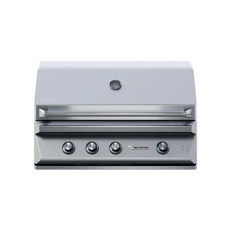 twin eagles c -series 42 in RS model - Fireplace Gallery