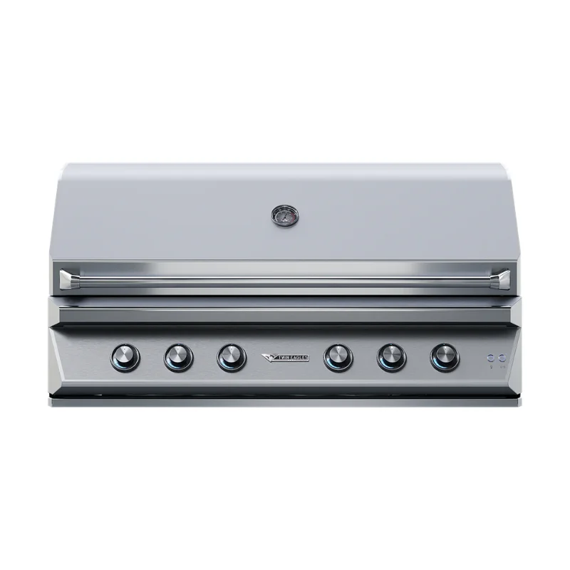 twin eagles c -series 54 in RS model - Fireplace Gallery